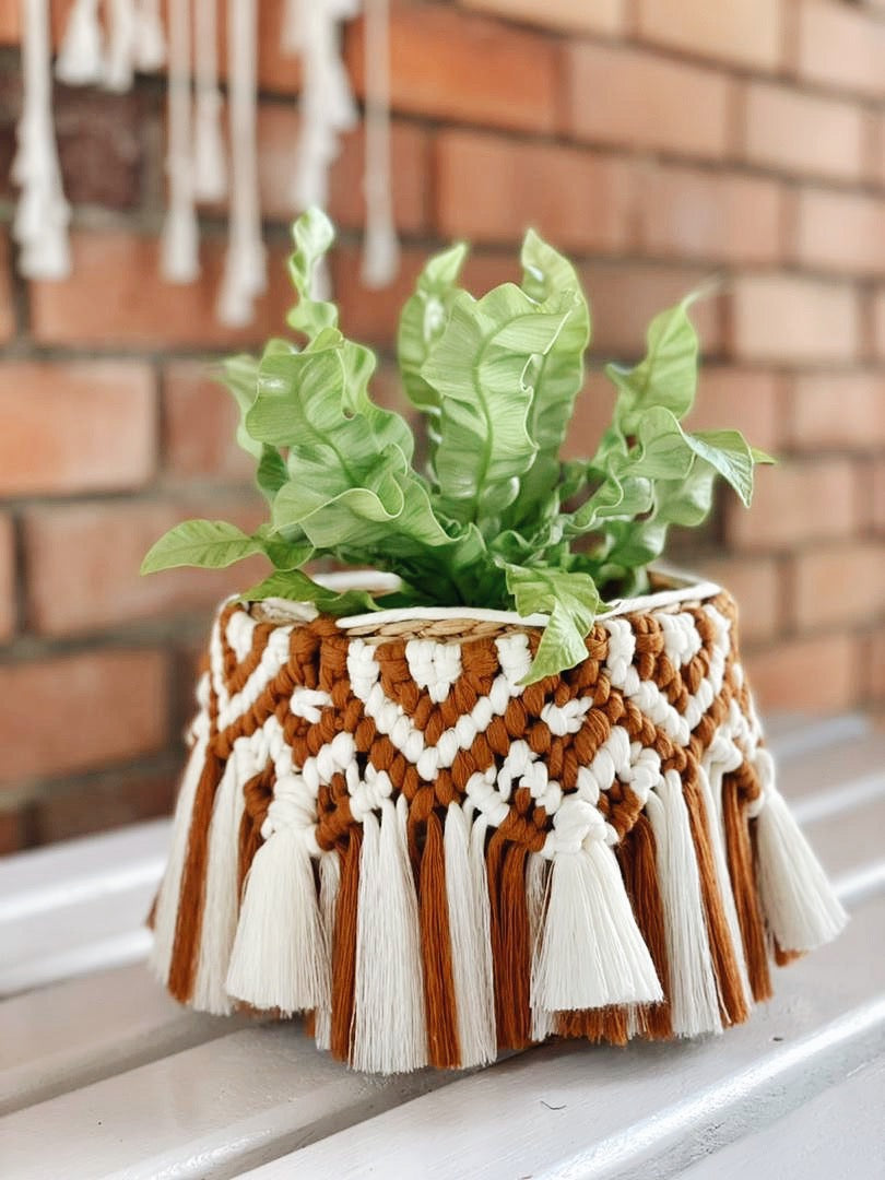 macrame plant pot cover Miss Lulu Macrame Pot Fringe – Mrs Homebody